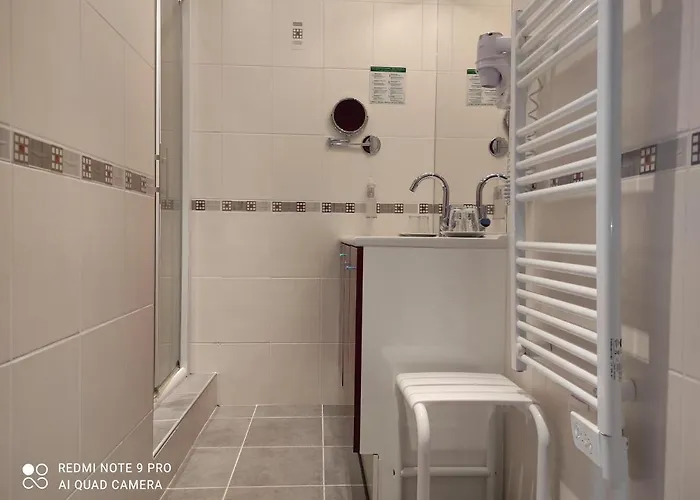 Hotel Logis De Paris Murol